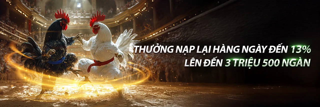 Đá gà trực tuyến kịch tính tại kuwin789